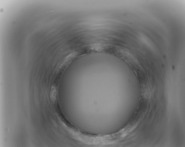 X0000073700036200608101825