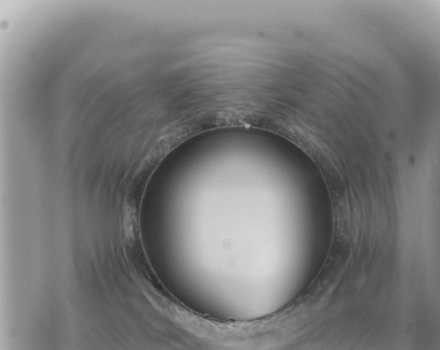 X0000073700038200608101825