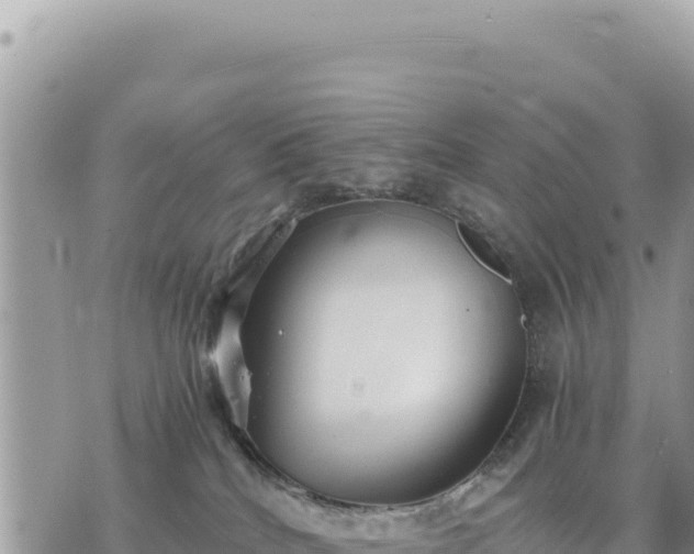 X0000073700040200608101825