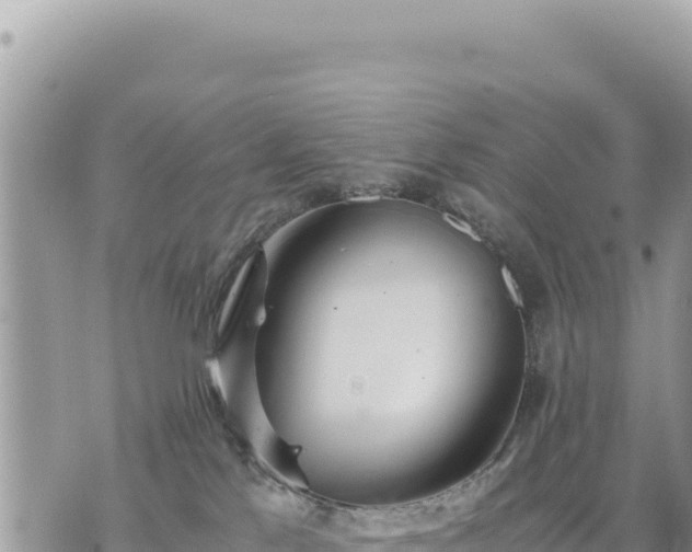 X0000073700041200608101825