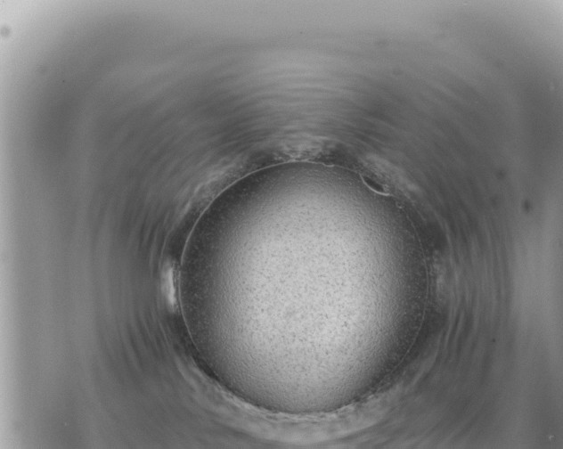 X0000073700042200608101825