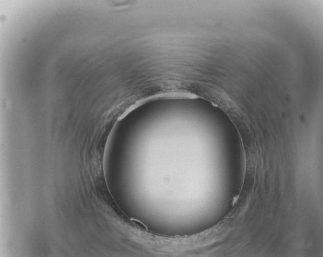 X0000073700043200608101825