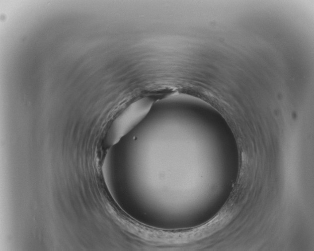 X0000073700048200608101824