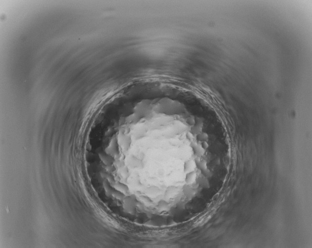 X0000073700049200608101824