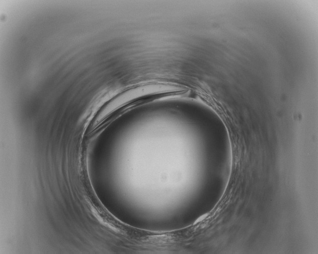 X0000073700050200608101824