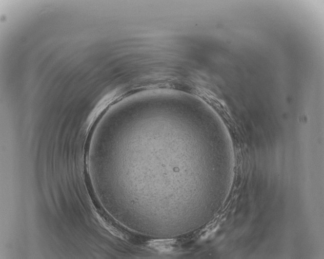 X0000073700051200608101824