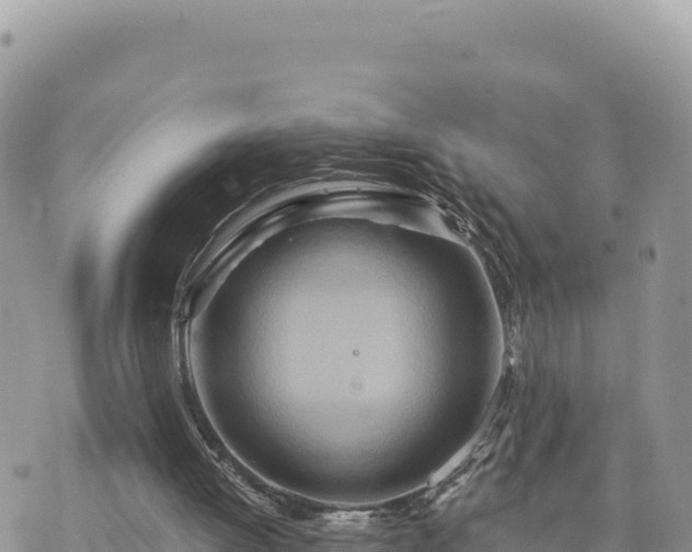 X0000073700052200608101824