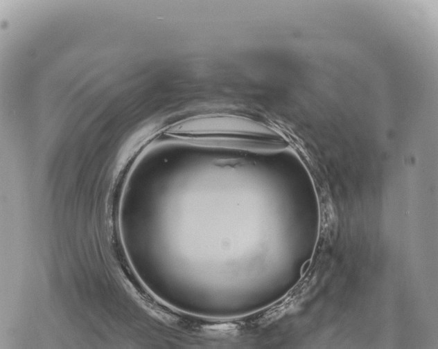 X0000073700053200608101824