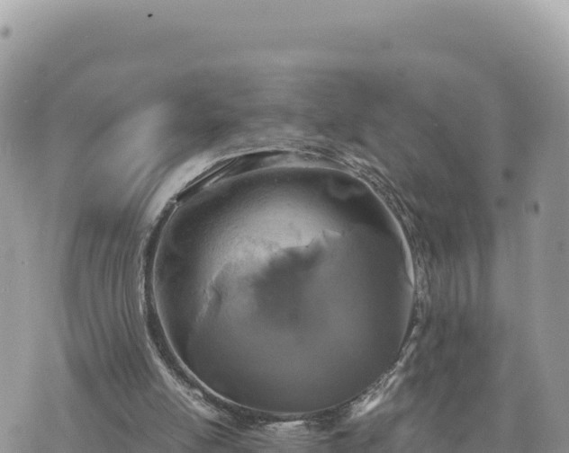 X0000073700054200608101824