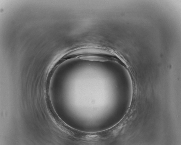 X0000073700055200608101824