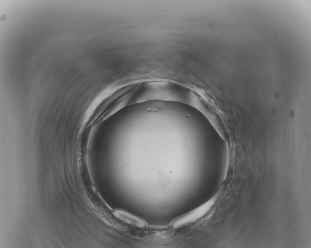 X0000073700056200608101824