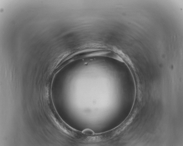 X0000073700057200608101824