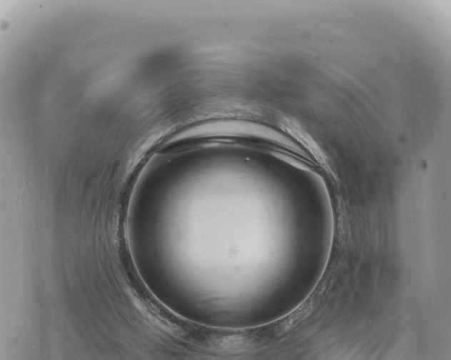 X0000073700058200608101824