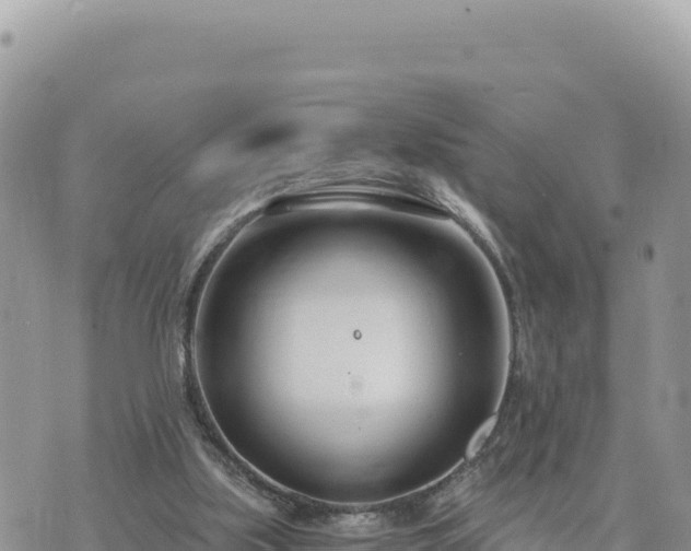 X0000073700059200608101824