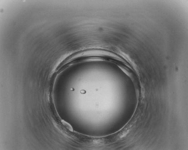 X0000073700060200608101824