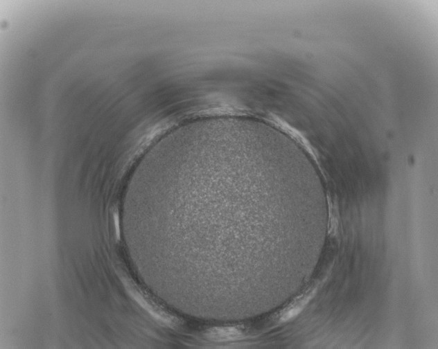 X0000073700061200608101824