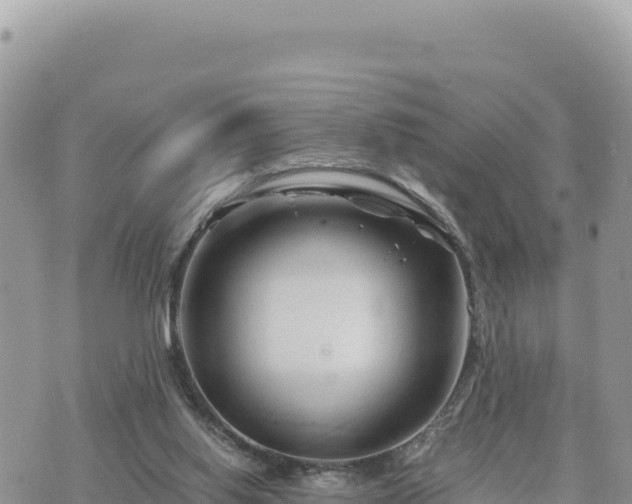 X0000073700062200608101824