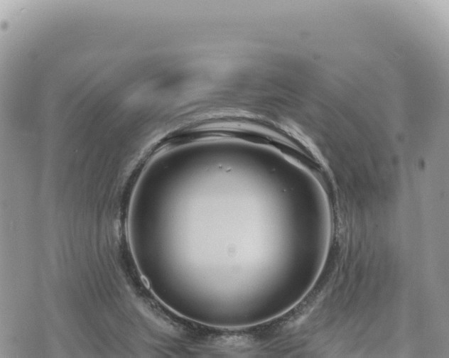 X0000073700063200608101824