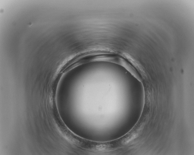 X0000073700064200608101824