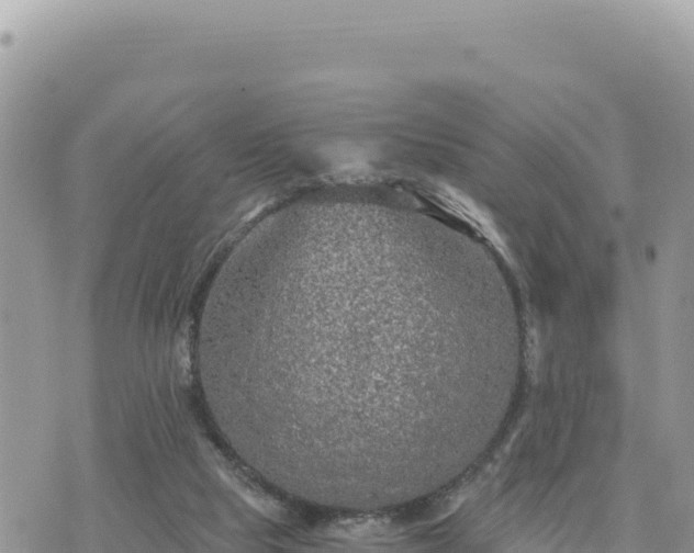 X0000073700065200608101824