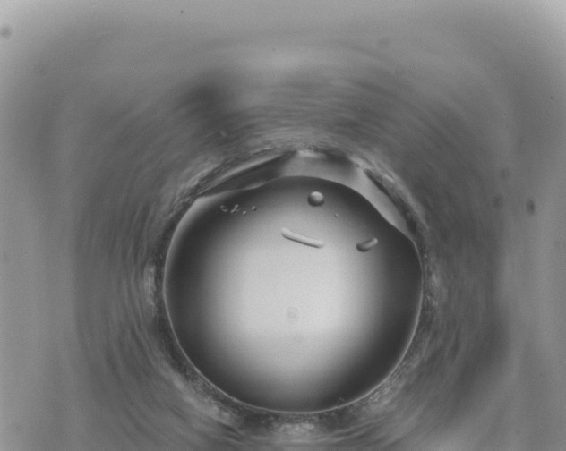 X0000073700066200608101824