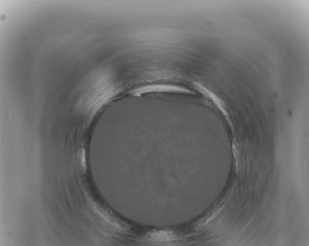 X0000073700067200608101824