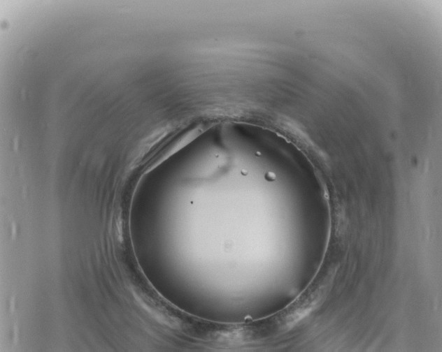 X0000073700068200608101824