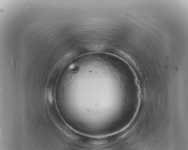 X0000073700069200608101824