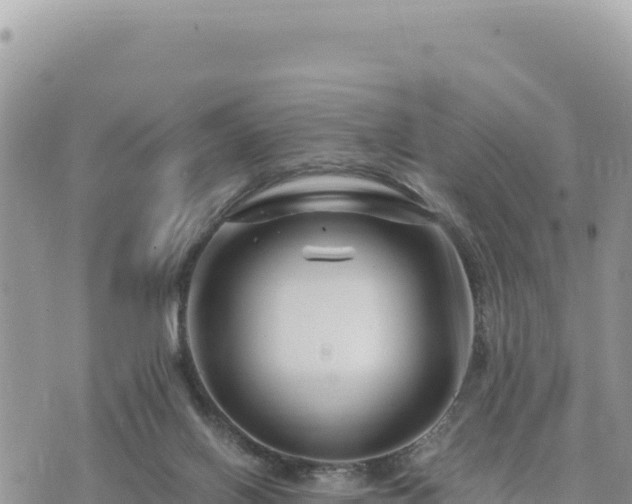 X0000073700070200608101824