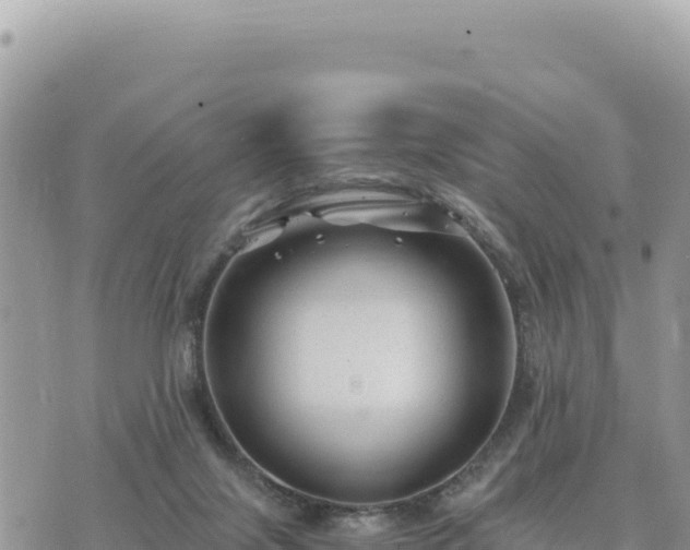 X0000073700071200608101824