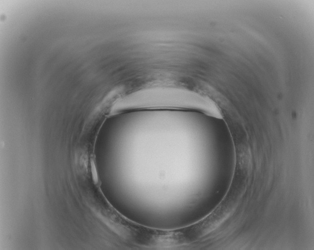 X0000073700072200608101824