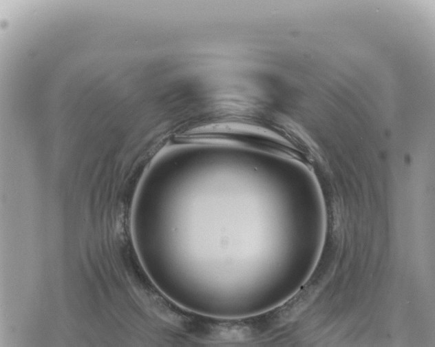 X0000073700073200608101824