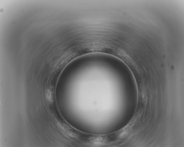 X0000073700074200608101824