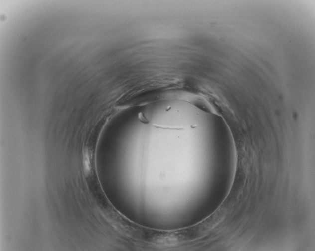 X0000073700075200608101824