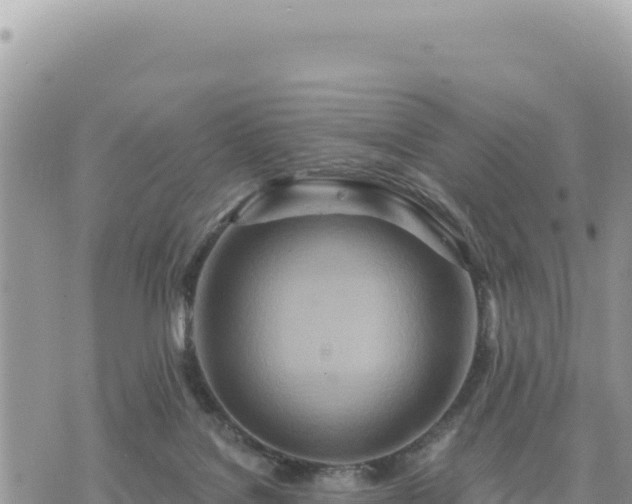 X0000073700076200608101824