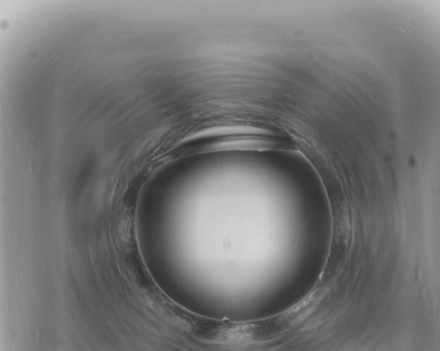 X0000073700078200608101824