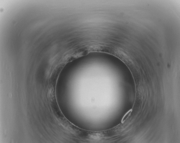 X0000073700079200608101824