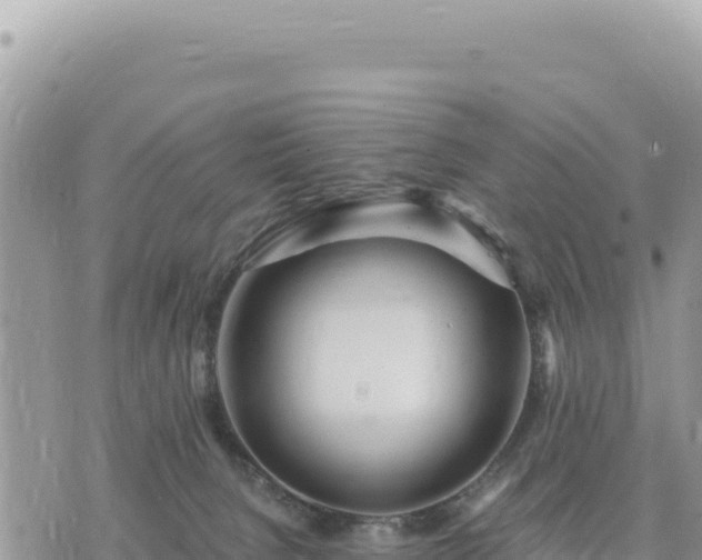 X0000073700080200608101824