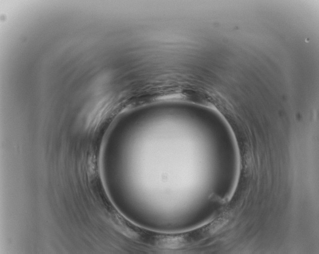 X0000073700081200608101824