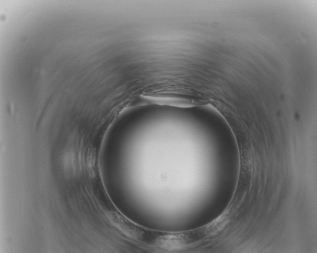 X0000073700082200608101824