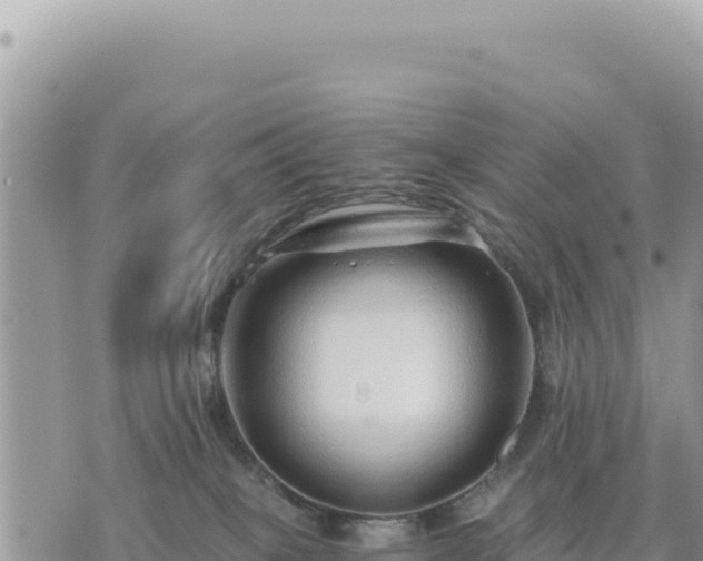 X0000073700085200608101824