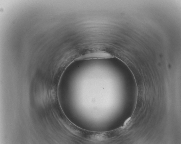 X0000073700086200608101824