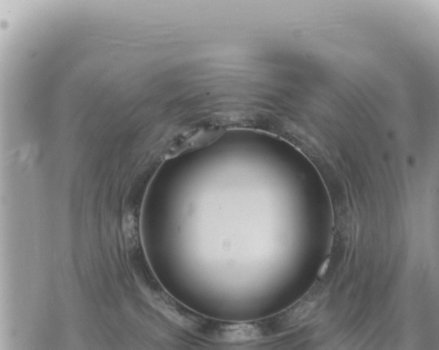 X0000073700087200608101824