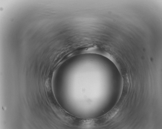 X0000073700088200608101824