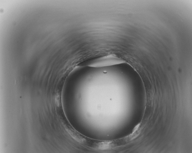 X0000073700090200608101824