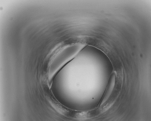 X0000073700092200608101824