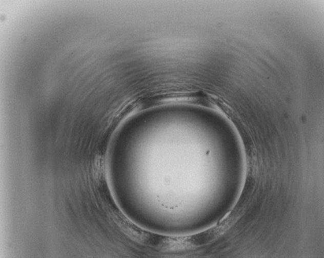 X0000073700093200608101824