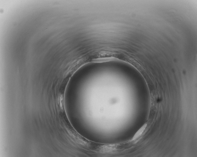 X0000073700094200608101824