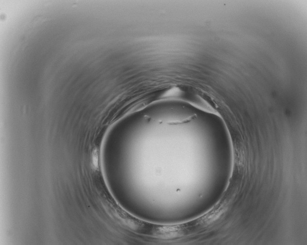 X0000073700095200608101824