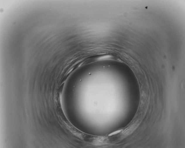 X0000073700096200608101824